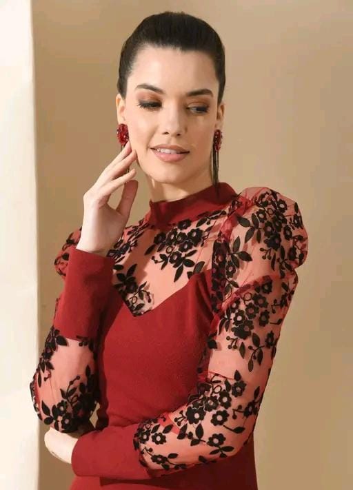 Allure Fashion Women's stylish Dresses