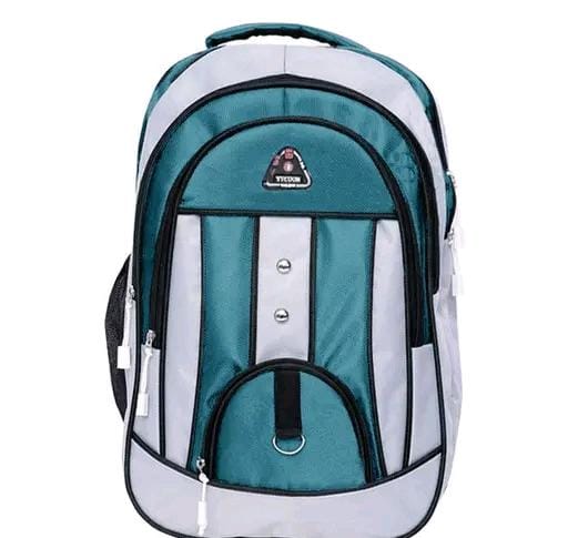 Allure Fashion Laptop Bagpack & School Bags