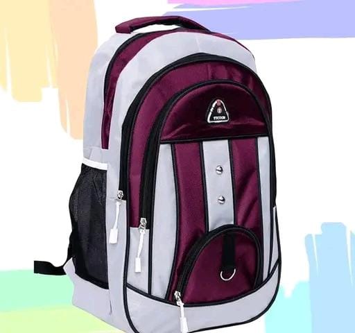 Allure Fashion Laptop Bagpack & School Bags
