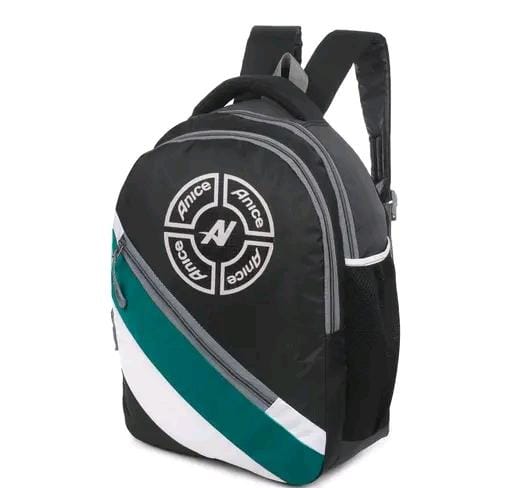 Allure Fashion Laptop Bagpack & School Bags