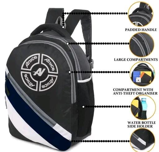 Allure Fashion Laptop Bagpack & School Bags