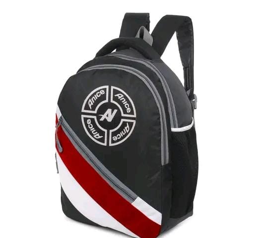 Allure Fashion Laptop Bagpack & School Bags