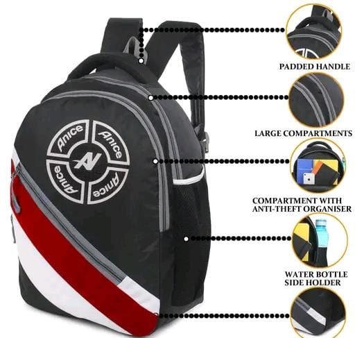 Allure Fashion Laptop Bagpack & School Bags