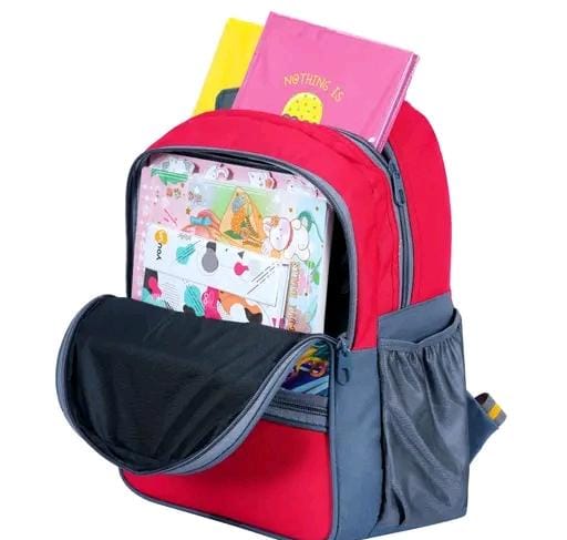 Allure Fashion Laptop Bagpack & School Bags Combo
