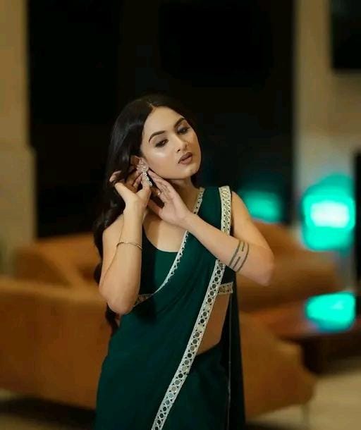 Allure Fashion women's Stylish organzaa saree