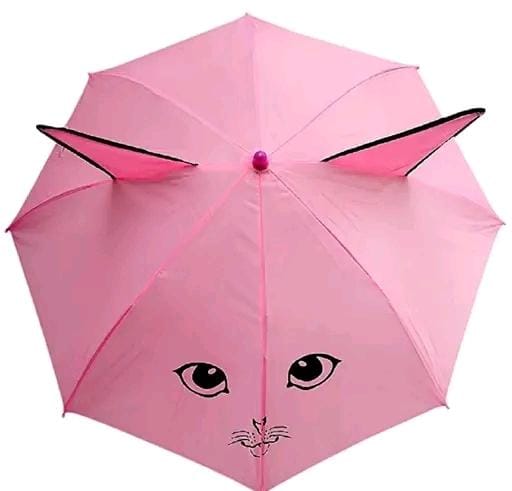 Allure Fashion Kids kite Umbrella with tiny stylish cartoon character for enjoying playing kids